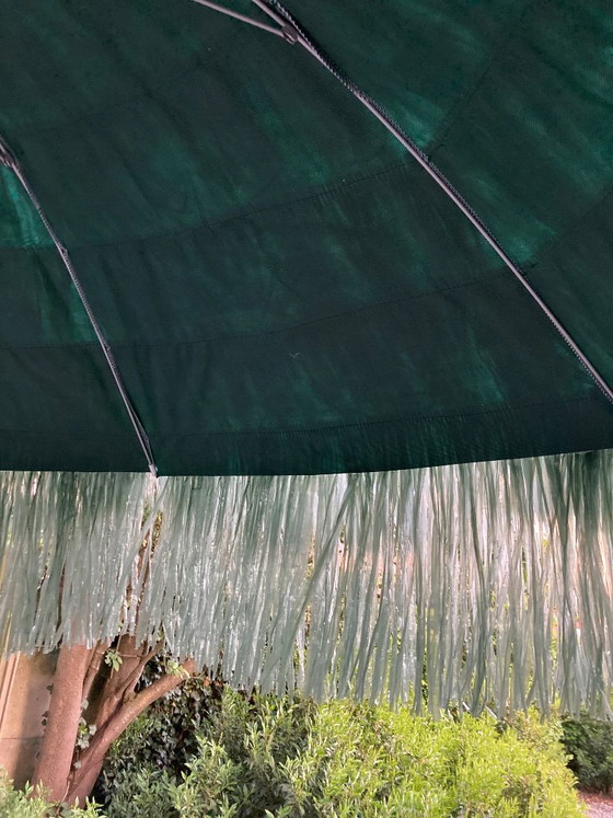 Image 1 of Sombrilla hawaiana de Jan Kurtz