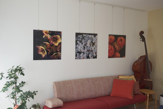 Image 1 of Splendore floreale