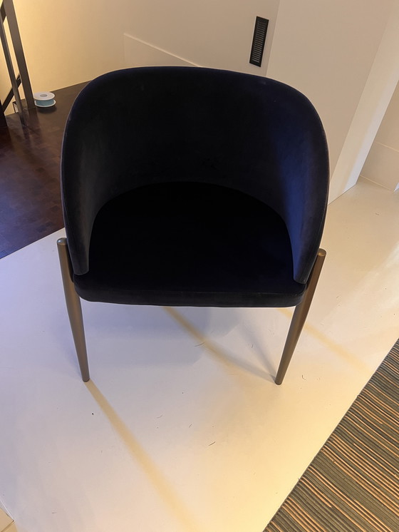 Image 1 of Porro Chairs, Type Frank