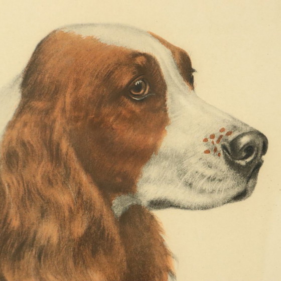 Image 1 of Large Color Lithograph Leon Danchin