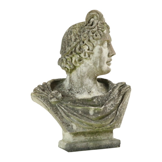 Image 1 of Large Apollo Bust Garden Statue