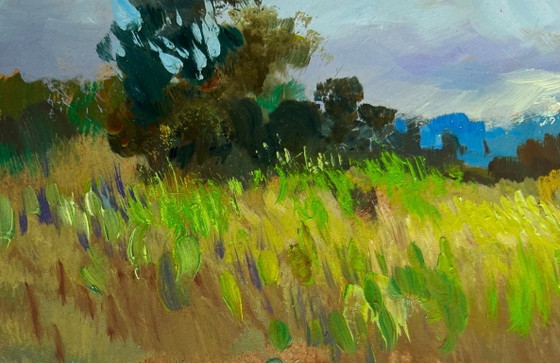 Image 1 of Original Oil Painting Summer Field Landscape Summer meadow glade