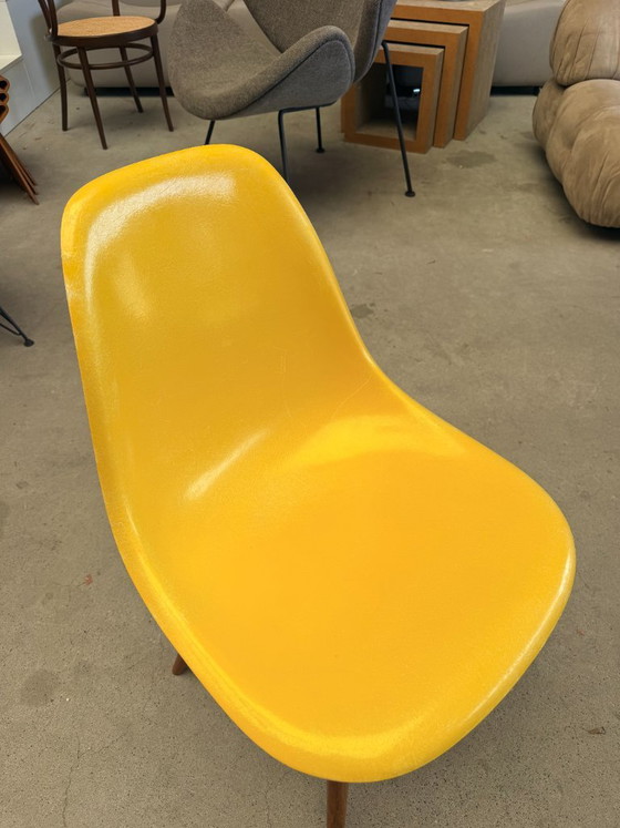 Sedia Eames DSW di Herman Miller in fibra di vetro – Sedie da pranzo, Metal, Wood (photo 4 of 9)