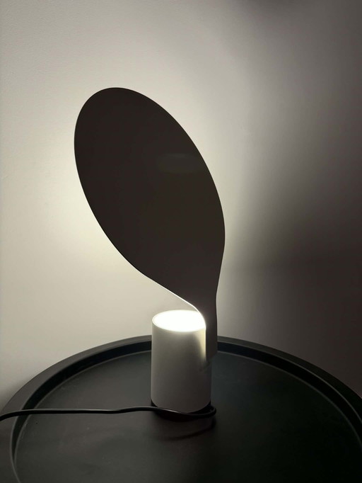 Vertigo Bird Balloon Uii Budde