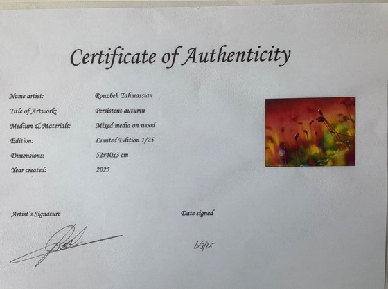 Image 1 of Art photo Rouzbeh Tahmassian