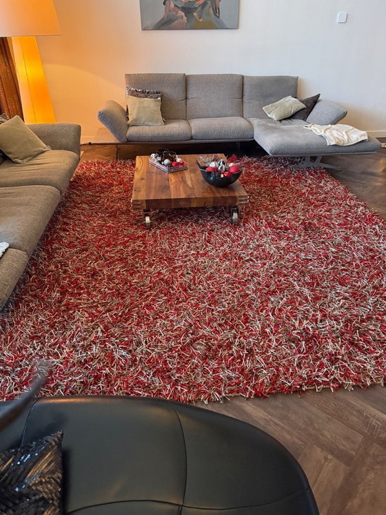 Image 1 of Tapis cocktail Kymo SG Polly Premium – 270 × 340 cm