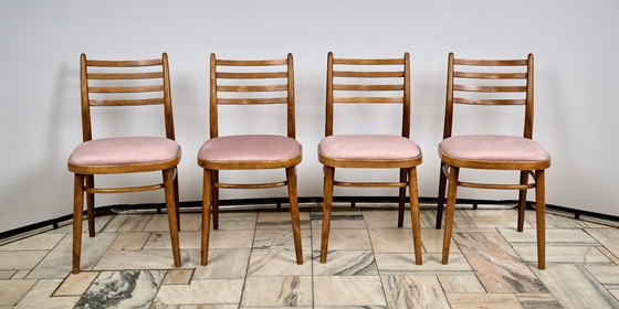 Image 1 of Set of 4 Dining Chairs, TON, 1960s, Czechoslovakia