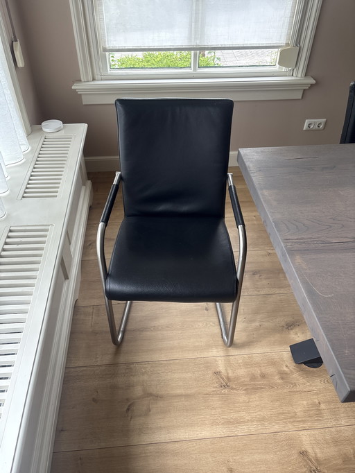 Sepang Thick Black Leather Dining Chairs