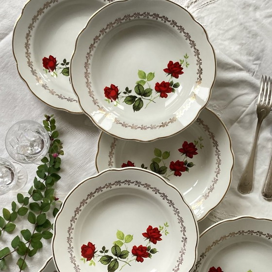 Image 1 of Set van 12 Sarreguemines soepborden en Saint Amand platte borden