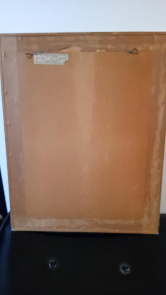 Image 1 of John Gould, Pséfoto Pulcherrimus