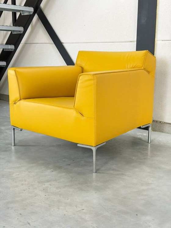 Design on Stock Bloq Armchairs - as new - ocher yellow – Leather (photo 8 of 9)