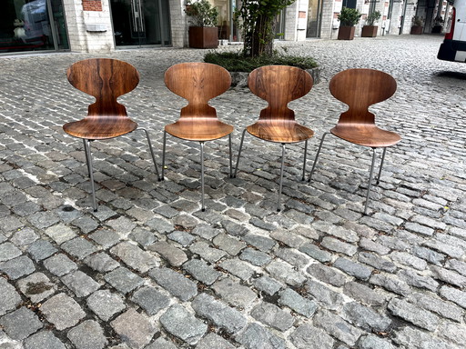 4 chairs, model 3100, by Arne Jacobsen, for Fritz Hansen, Denmark, 1965