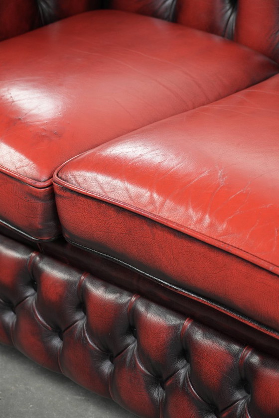 Image 1 of Englisches Chesterfield-Sofa, 2,5-/3-Sitzer, aus Rindsleder in luxuriösem Rot