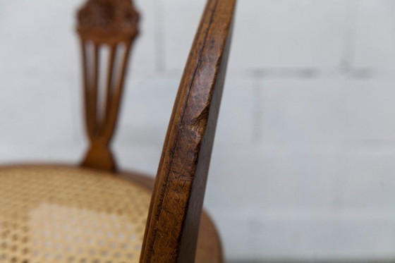 Image 1 of Vintage Louis XVI style chair – Cane seat, lyre-shaped back