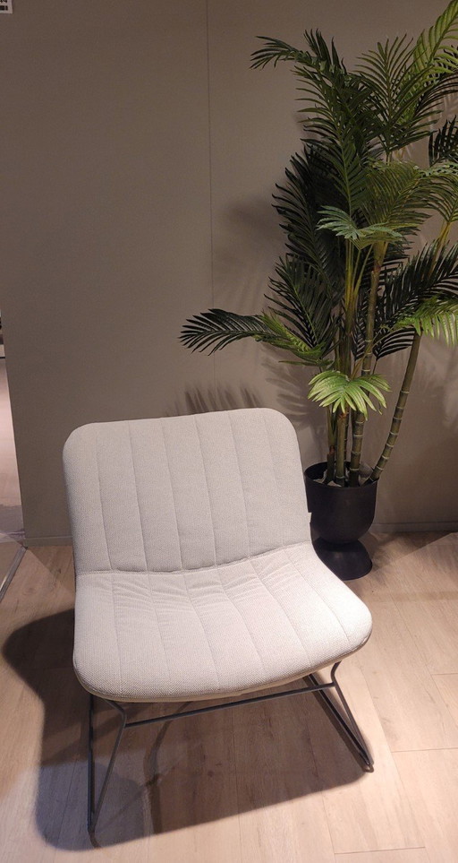 Bert Plantagie Fauteuil Draat