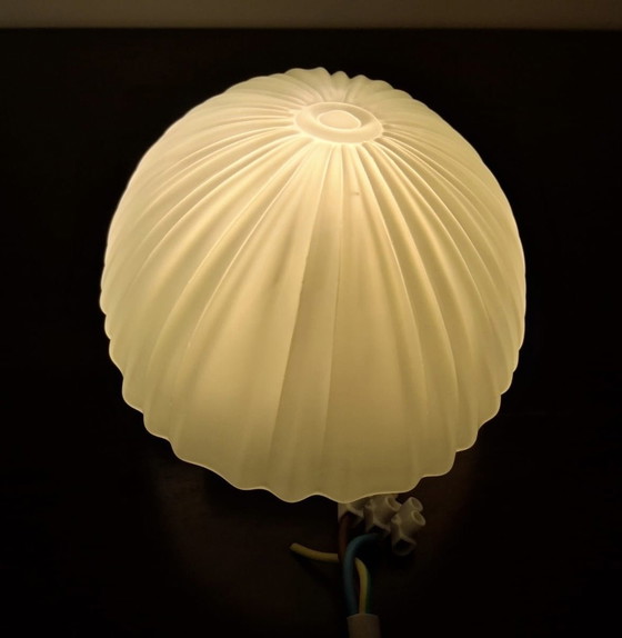 Image 1 of Lámpara de techo Schelpvormige