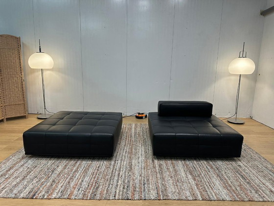 Minotti Lawrence Element Schwarzes Leder (2x), 2 Sitzer Sofas, Modern (Foto 9 von 19)