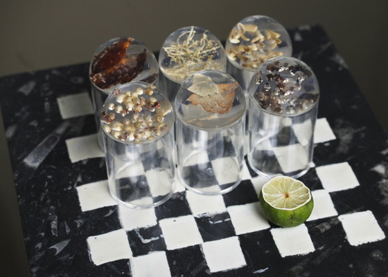 Image 1 of French Plexiglas Vintage Spice Container Jars – Set of 6 Preserved Herb Cylinders