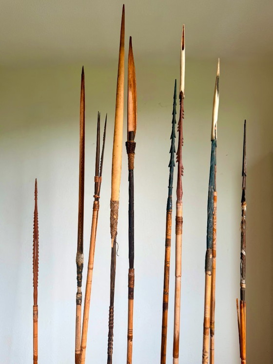 Arc et flèches des tribus Sepik et/ou Asmat de Papouasie-Nouvelle-Guinée – Objets déco, Bamboo (photo 16 of 17)