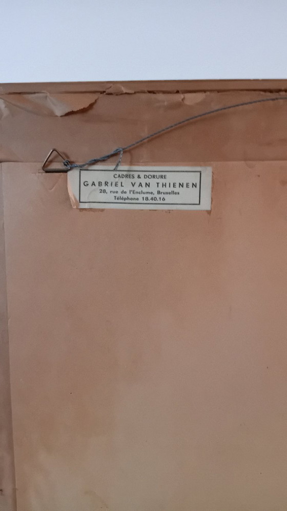 Image 1 of John Gould, Platycercus Pennanth