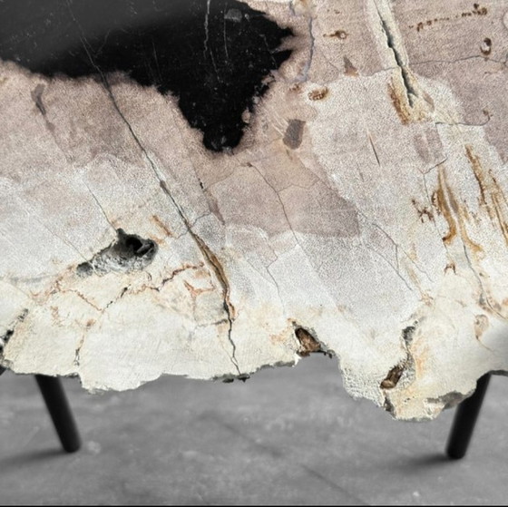 Image 1 of Madera fosilizada de Sooka, soporte hecho a medida (nuevo)