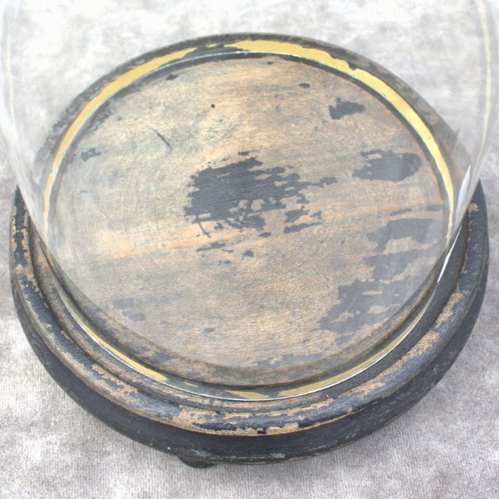 Image 1 of Antique round French Glass dome 13. 58 x 5.91 inch bell jar 34,5 x 15 cm Victorian era cloche taxidermy steampunk Display mouth 