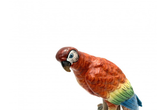 Image 1 of Estatuilla de porcelana de un loro, Sitzendorf, Alemania, principios del siglo XX.