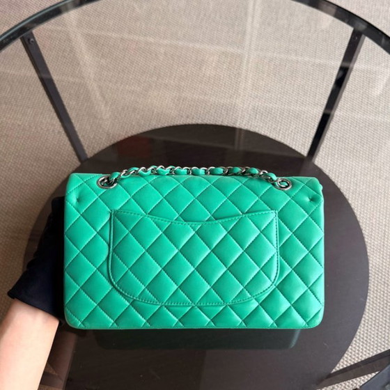 Image 1 of Chanel Classic Flap Medium - 25CM Quilted Lambskin Light Green Silver Hardware Series 16