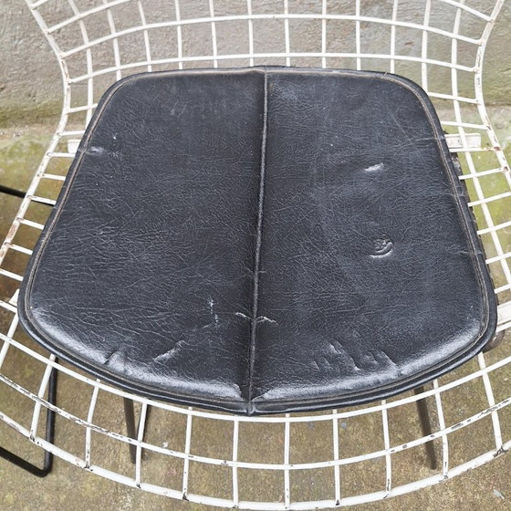 Image 1 of Set van 4 draadstoelen van Harry Bertoia, jaren 60.