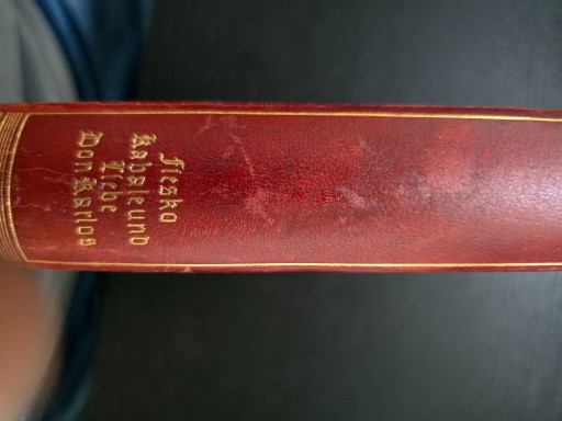 Antico set di due volumi "Schillers Werke" (circa 1910) – Dorso rosso-verde e stampa dorata (photo 2 of 17)