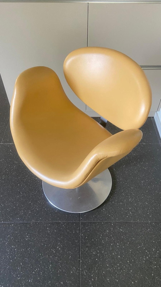 Image 1 of Fauteuil tulipe en cuir Artifort