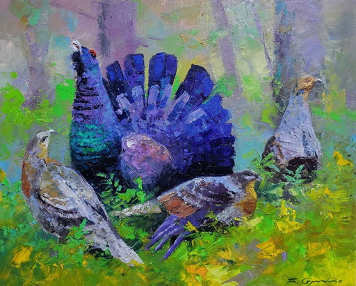 Gallo cedrone nella foresta estiva
