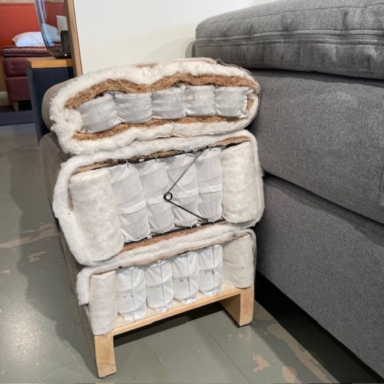 Image 1 of Ecolife - Agave Continental