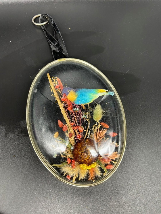 Image 1 of curved glass frame with bird decoration