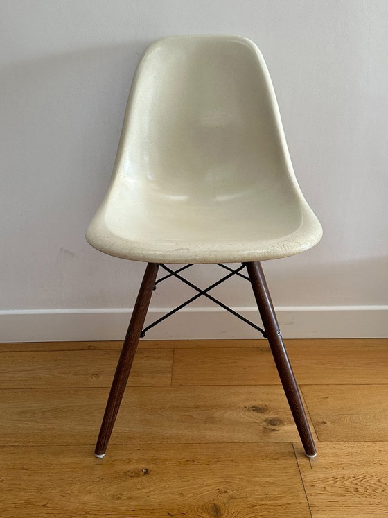 Set di 6 sedie Eames DSW — Herman Miller, scocche originali 1956–1959 – Sedie da pranzo (photo 4 of 10)