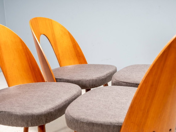 Image 1 of Chaises de salle à manger Antonín Šuman, Tatra Nábytok, Tchécoslovaquie 1960