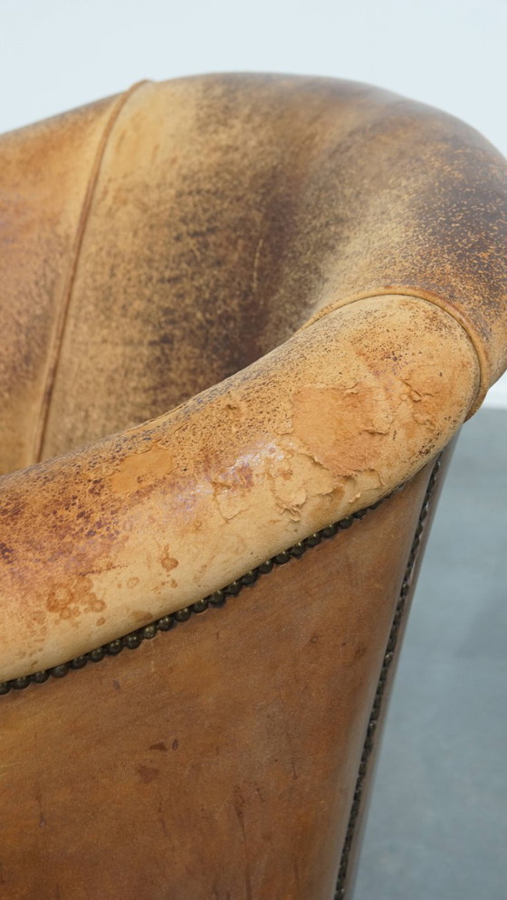 Image 1 of Schafsfell-Clubsessel von Nico van Oorschot