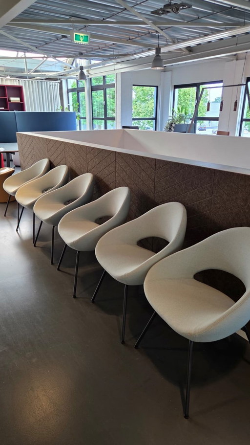 6x Artifort Shark stoel van René Holten