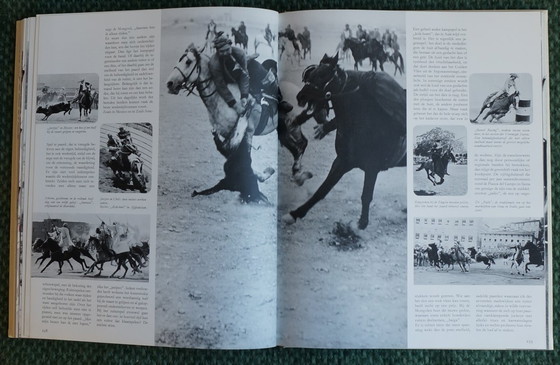 Image 1 of Ein Königreich für ein Pferd