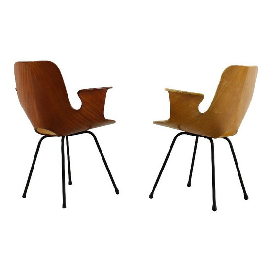 Image 1 of sedia con braccioli in legno curvato di faggio "medea" di vittorio nobili per fratelli tagliabue, italia, 1956