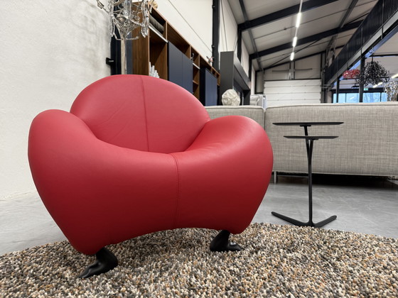 Image 1 of Leolux Papageno Armchair Red Leather With Black Base