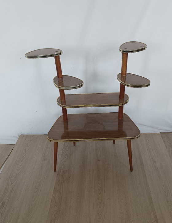 Zestiger Jaren Plantentafel – Metal, Wood (photo 6 of 8)