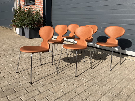 Image 1 of ¡¡NUEVO!! Sillas Fritz Hansen Ant en piel color coñac
