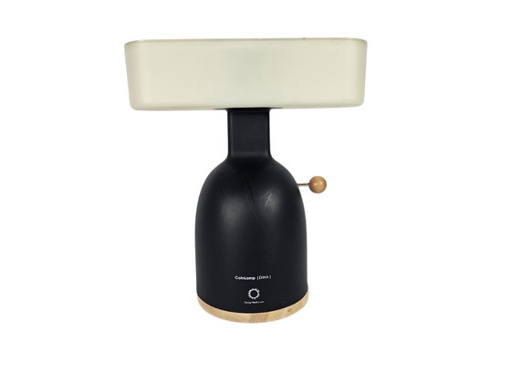 Image 1 of Coinlamp - model  Dina - Maak Studio - Spaarpot - Bewustwording Lamp - zwart
