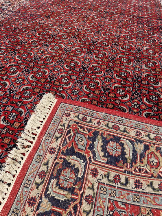 Vintage Handgeknoopt Perzisch Bidjar Tapijt – Iran – 305 x 200 cm – Vloerkleden en tapijten, Cotton, Wool (photo 14 of 15)
