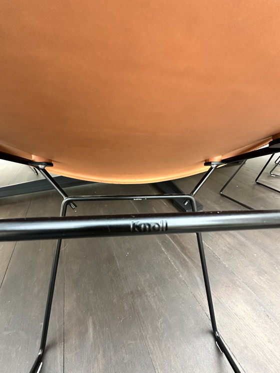 Image 1 of 8x bertoia side chair saddle leather