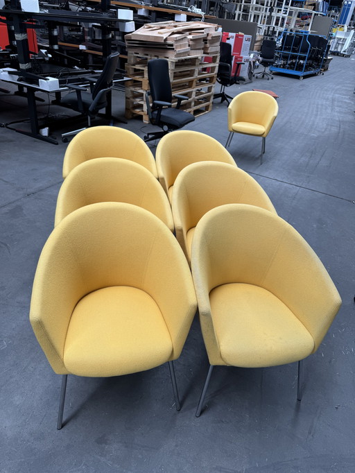 6x Lounge Stoelen Artifort