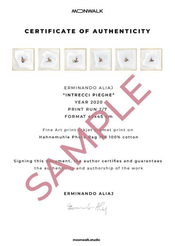 Image 1 of Erminando Aliaj - Nudo