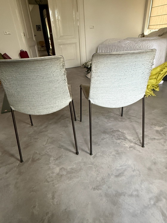 Frames van Wlter Knoll Liz – Walter Knoll, Eetkamerstoelen, Aluminium (photo 3 of 6)