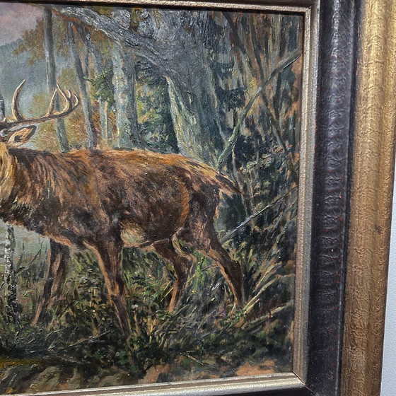Image 1 of Tableau ancien représentant un cerf rouge dans la forêt, première moitié du XXe siècle